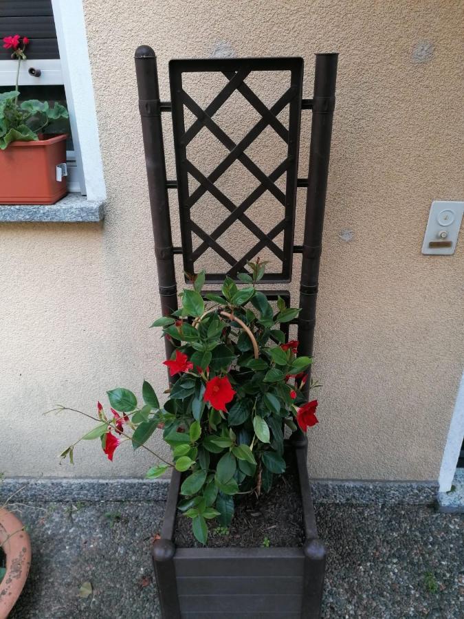 Le Palme Hotel Monteceneri Exterior photo